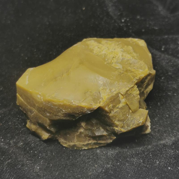 Opalisiertes Versteinertes Holz